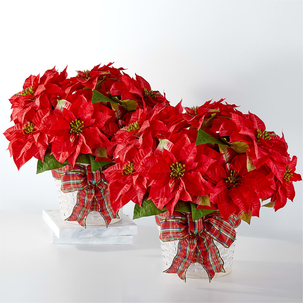 Happiest Holidays Poinsettia Bundle – Freesia Flowers, Tomball TX