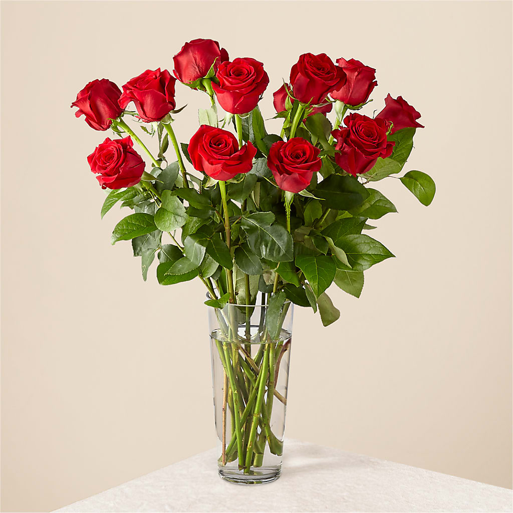 Long Stem Red Rose Bouquet – Freesia Flowers, Tomball TX