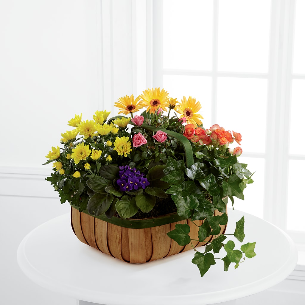 Gentle Blossoms Basket – Freesia Flowers, Tomball TX