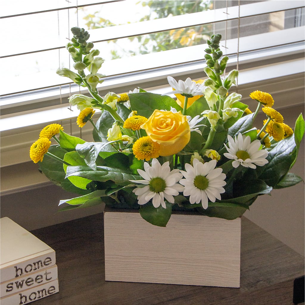 Sun Salutation Box Bouquet – Freesia Flowers, Tomball TX
