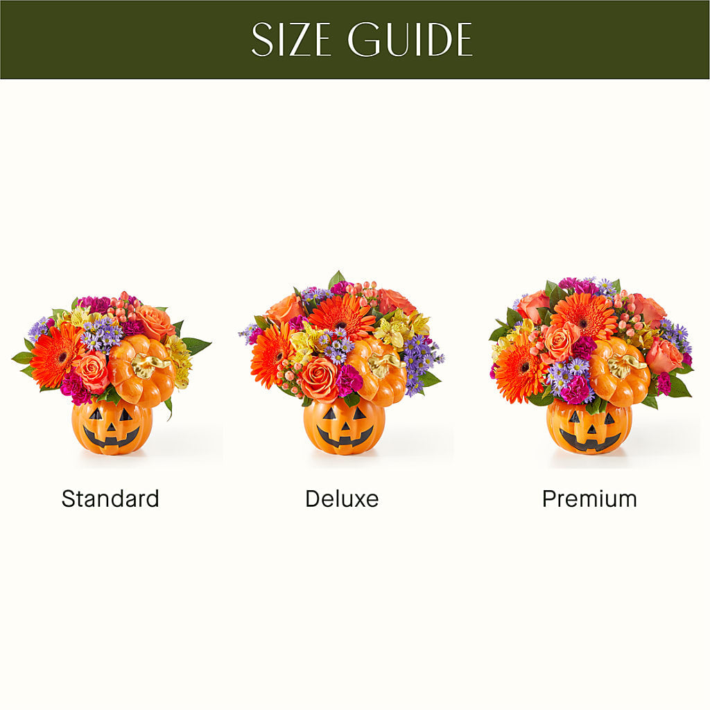 Tricks & Treats Pumpkin – Freesia Flowers, Tomball TX