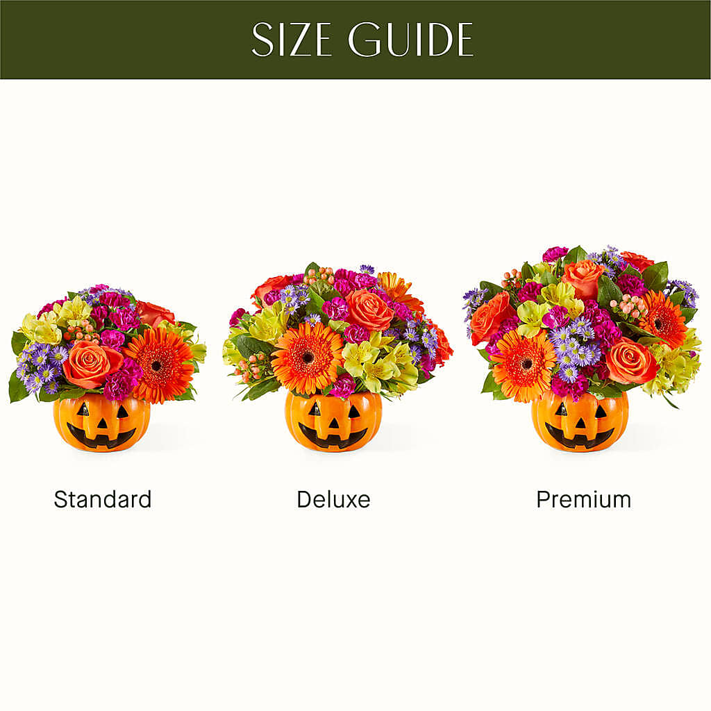 Tricks & Treats Pumpkin – Freesia Flowers, Tomball TX