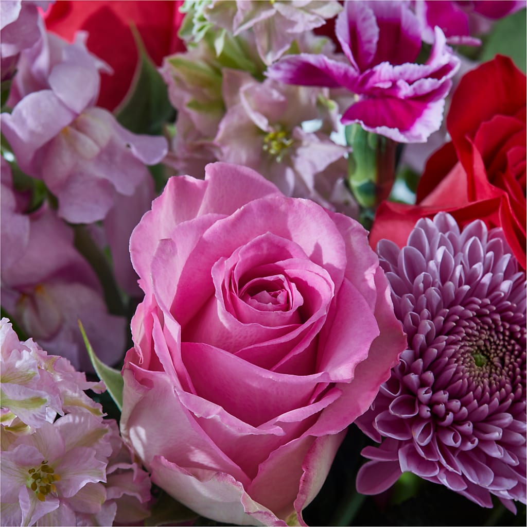 Better Together - A Luxury Florist Original – Freesia Flowers, Tomball TX
