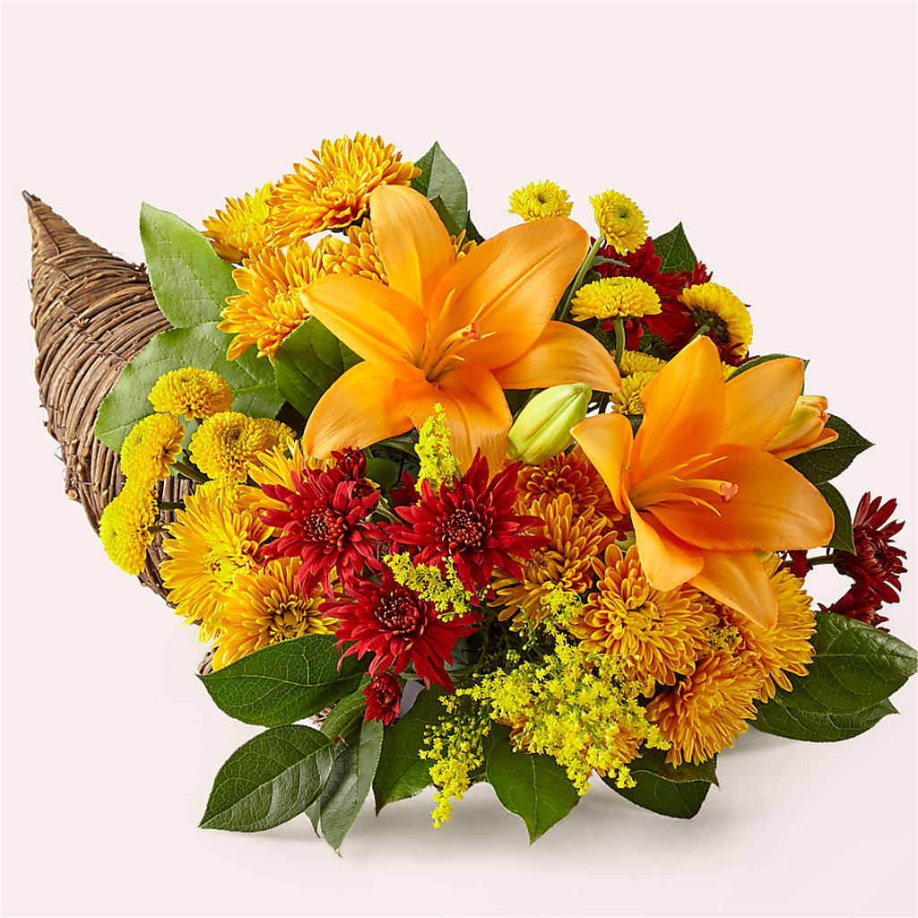 Feast of Color Cornucopia – Freesia Flowers, Tomball TX
