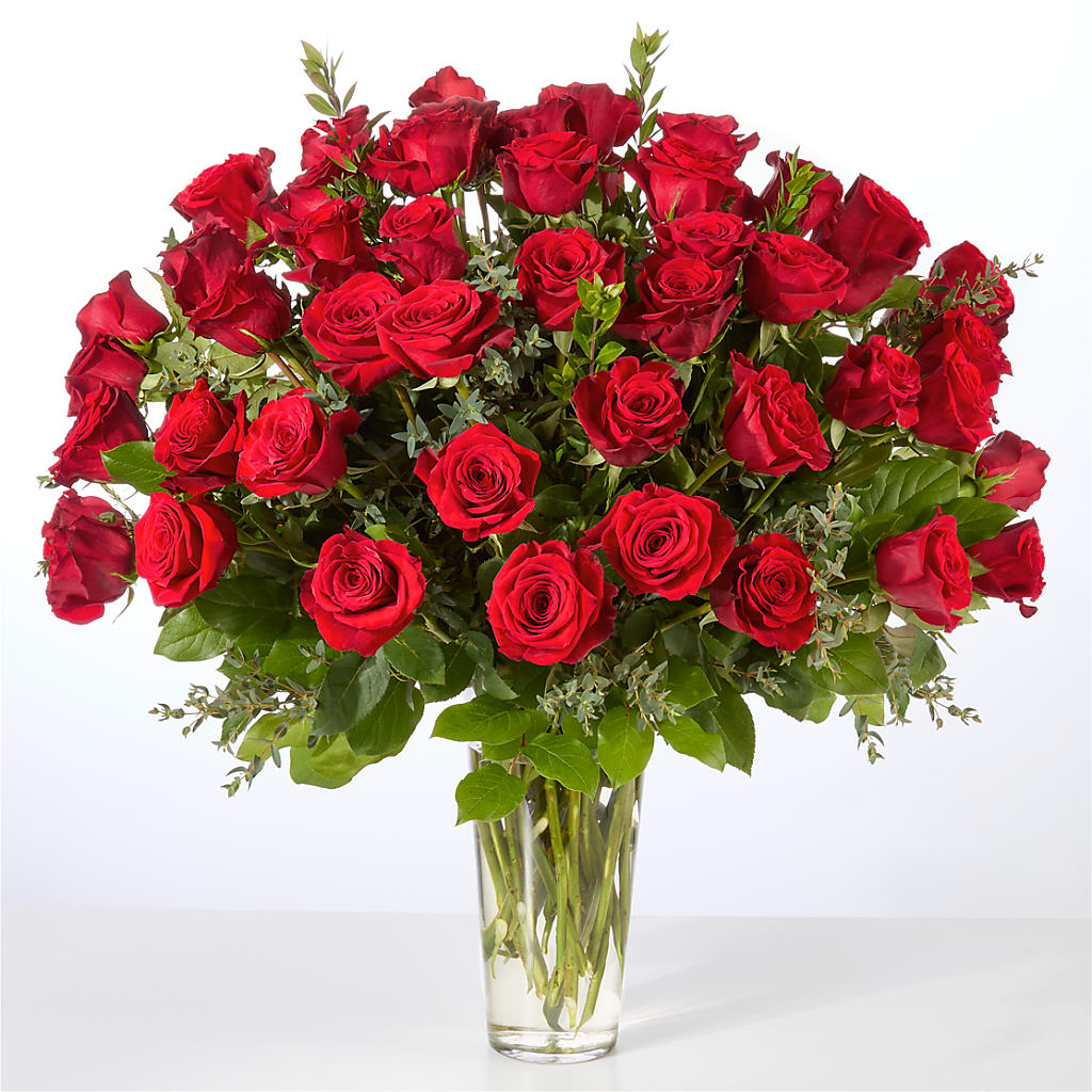 Forever Yours Fifty Stem Red Rose Bouquet – Freesia Flowers, Tomball TX
