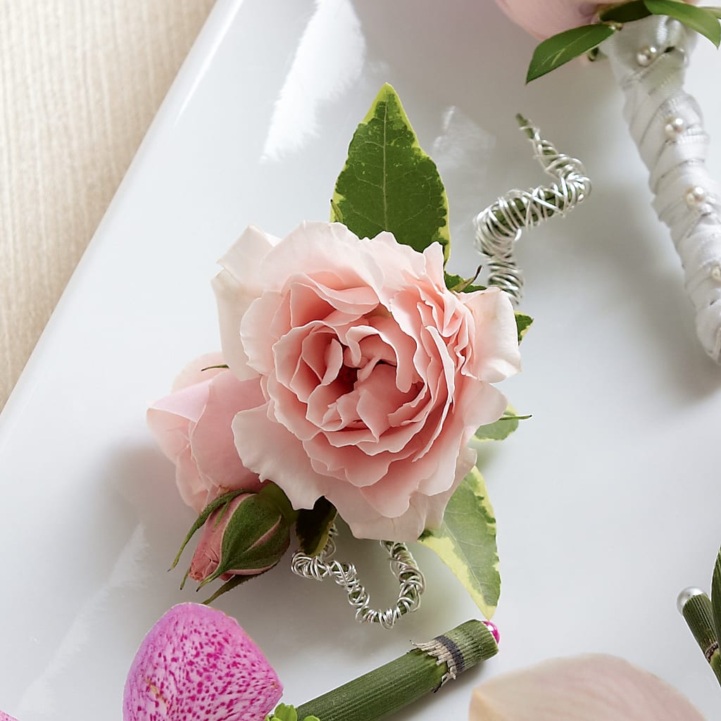 Pink Spray Rose Boutonniere – Freesia Flowers, Tomball TX