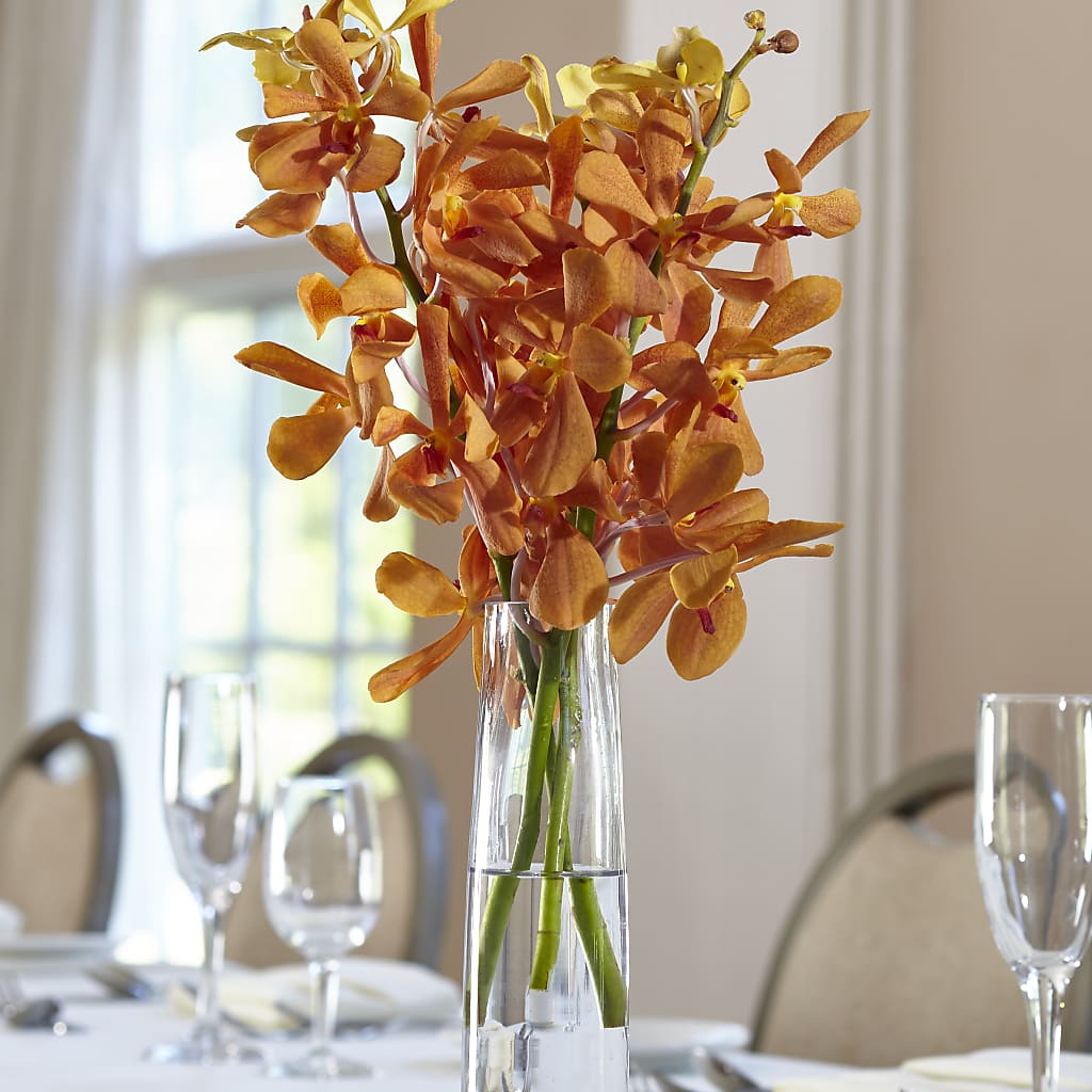 Orange Mokara Bud Vase – Freesia Flowers, Tomball TX