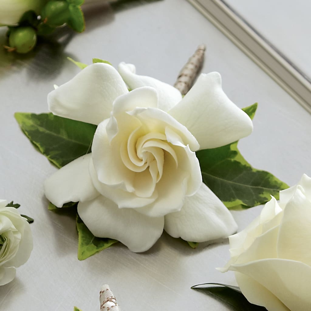 Gardenia Boutonniere – Freesia Flowers, Tomball TX