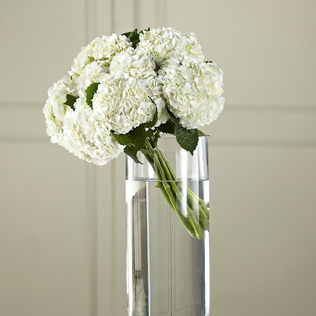 White Hydrangea Hand-Tied Bouquet – Freesia Flowers, Tomball TX