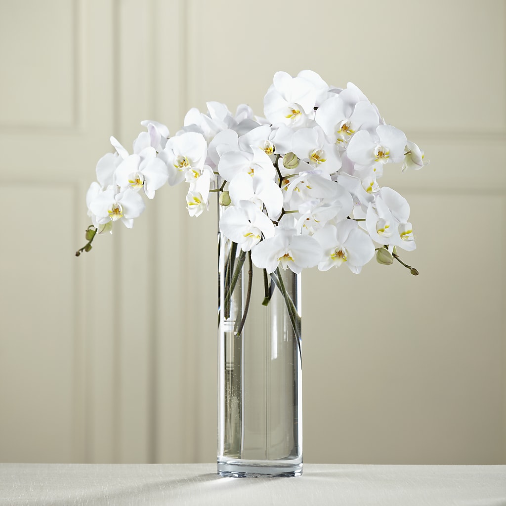 White Phalaenopsis Bouquet – Freesia Flowers, Tomball TX