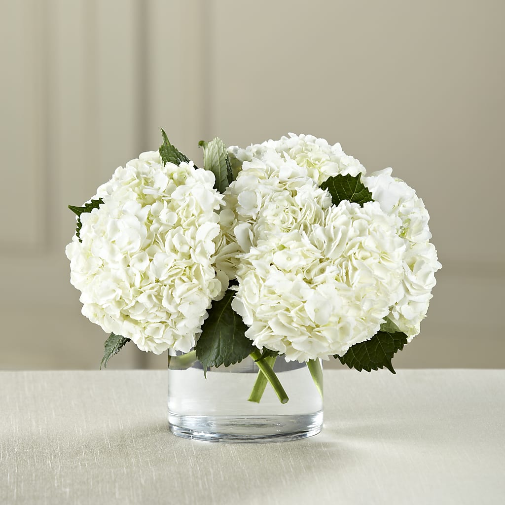 White Hydrangea Bouquet – Freesia Flowers, Tomball TX