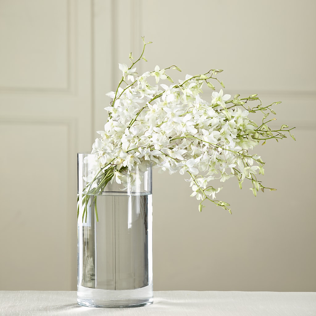 White Dendrobium Bouquet – Freesia Flowers, Tomball TX
