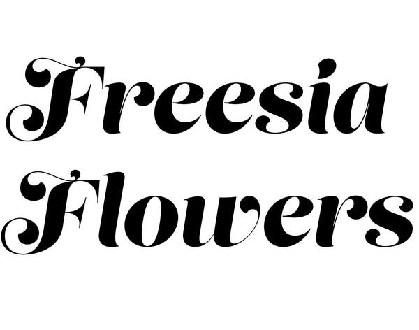 Freesia Flowers