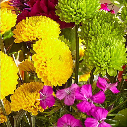 Bold & Bright – A Florist Original –  Freesia Flowers, Tomball TX