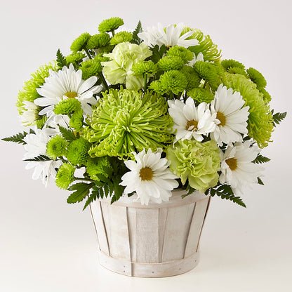 Lucky Charm Basket (Standard) –  Freesia Flowers, Tomball TX