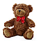 Adorable Plush Bear –  Freesia Flowers, Tomball TX