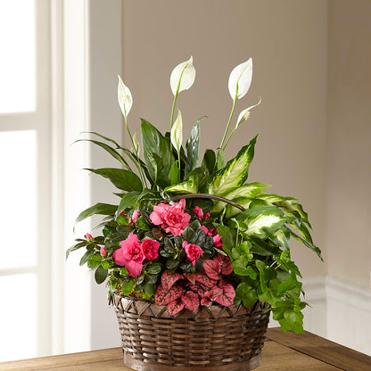 Dream in Pink Dishgarden –  Freesia Flowers, Tomball TX
