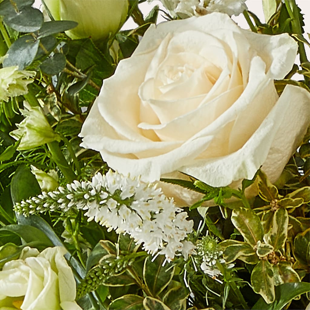 Cashmere Bouquet –  Freesia Flowers, Tomball TX