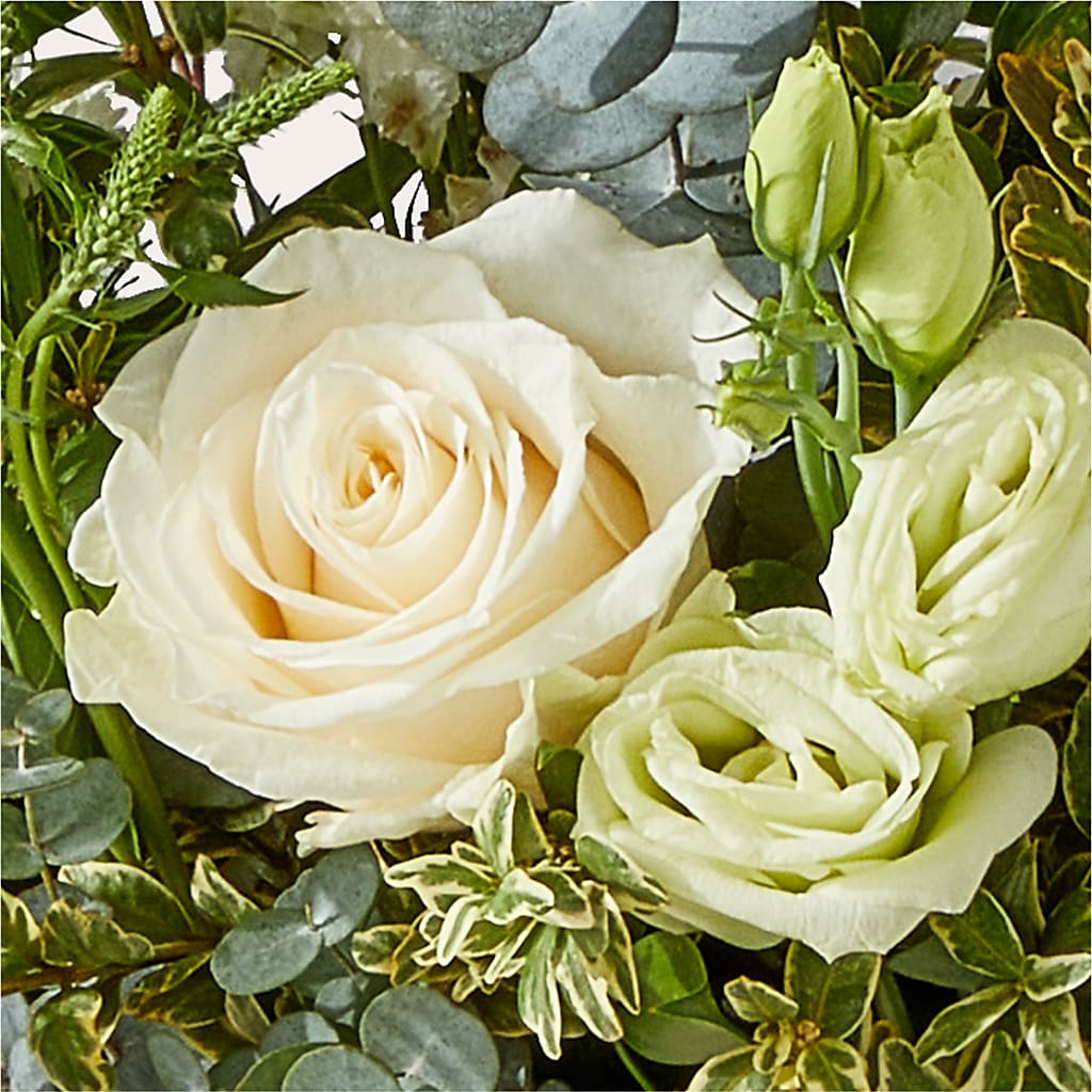 Cashmere Bouquet –  Freesia Flowers, Tomball TX