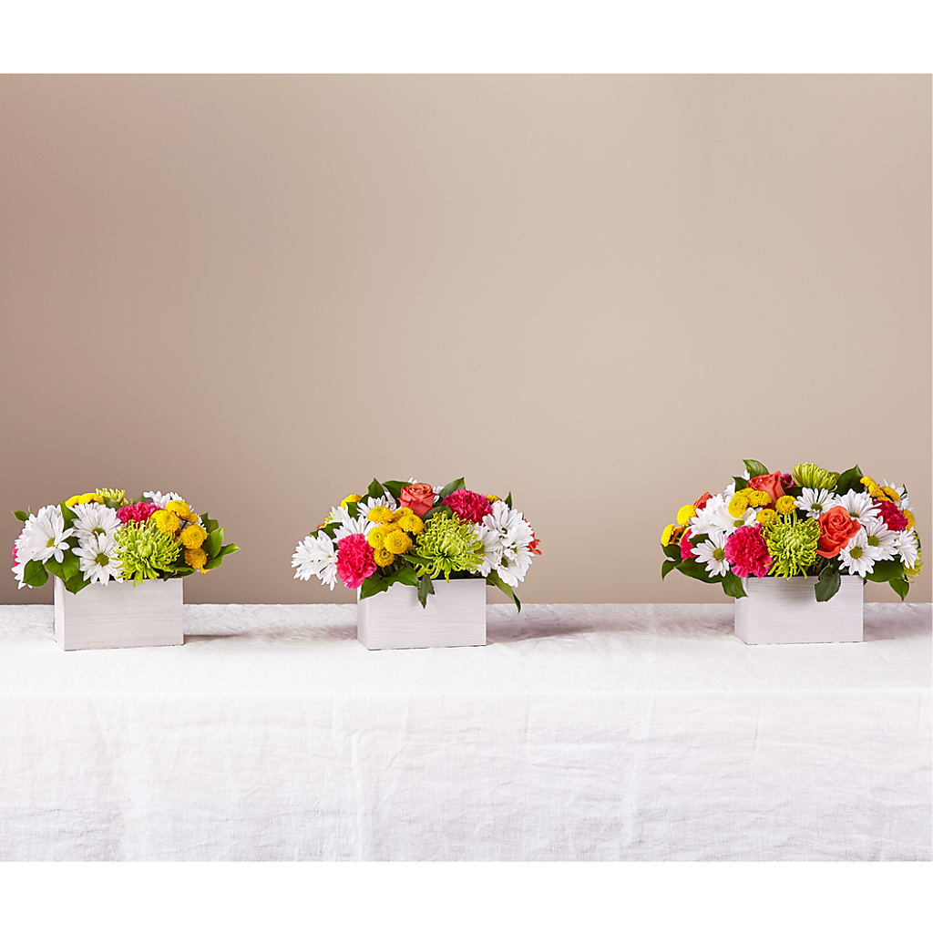 Sorbet Bouquet –  Freesia Flowers, Tomball TX