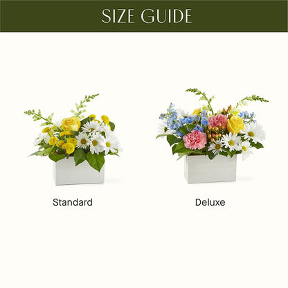 Sun Salutation Box Bouquet –  Freesia Flowers, Tomball TX