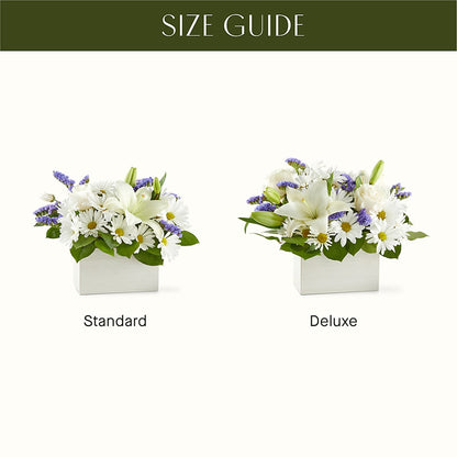 Beyond Blue Box Bouquet –  Freesia Flowers, Tomball TX