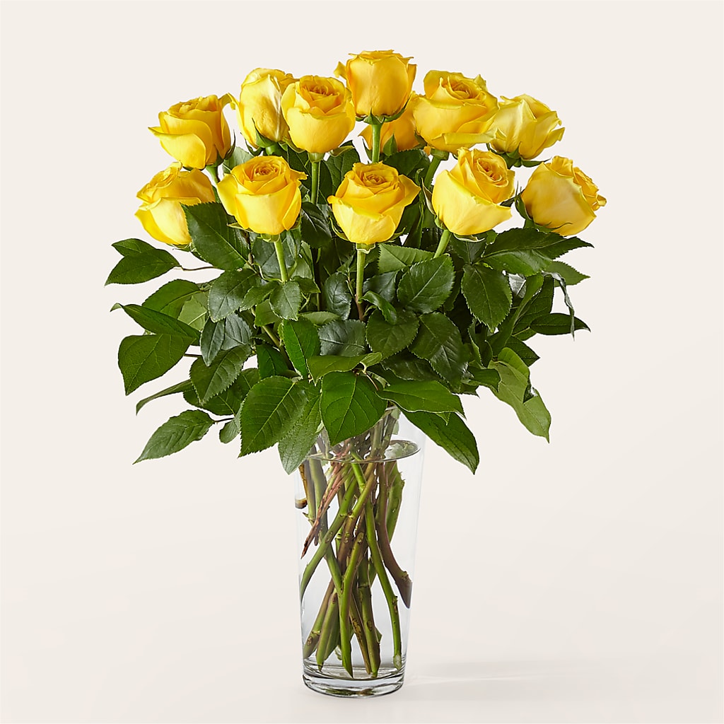 Long Stem Yellow Rose Bouquet –  Freesia Flowers, Tomball TX