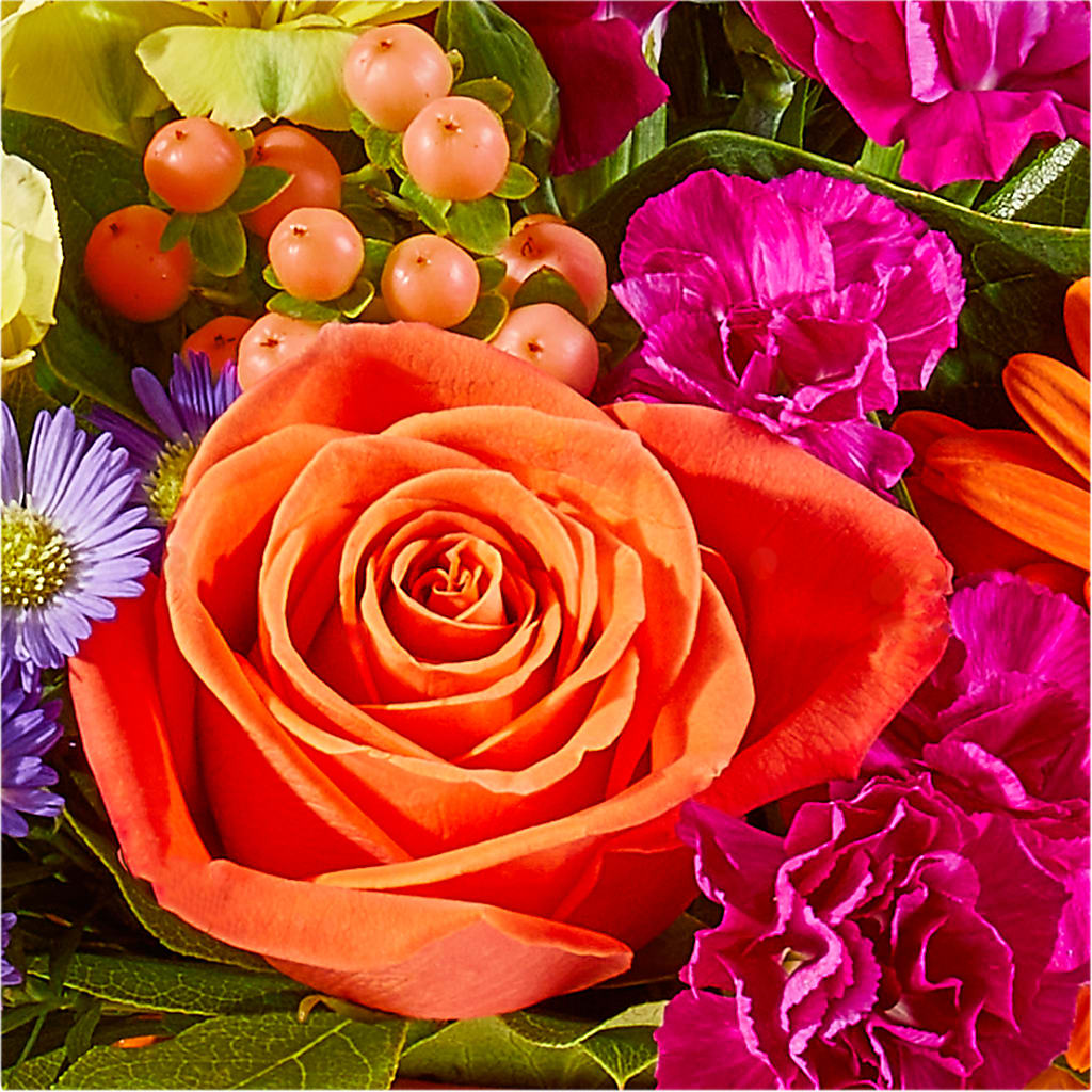 Tricks & Treats Pumpkin –  Freesia Flowers, Tomball TX