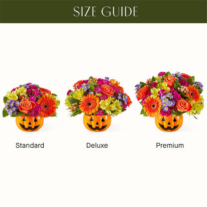Tricks & Treats Pumpkin –  Freesia Flowers, Tomball TX