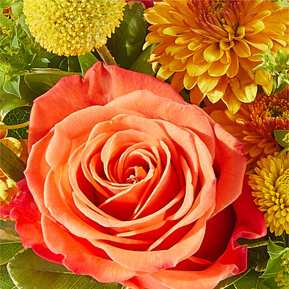 Gourdgeous Pumpkin –  Freesia Flowers, Tomball TX