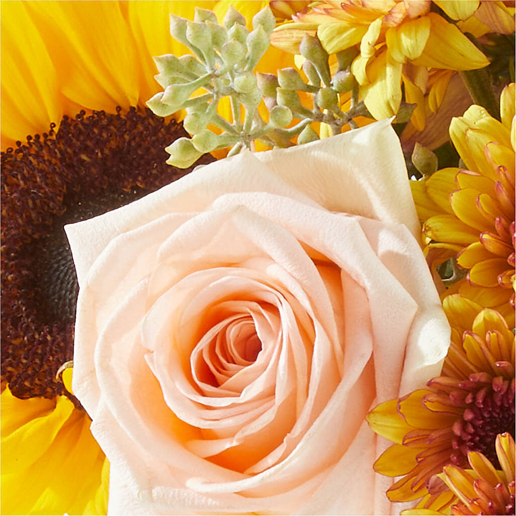 Pumpkin to Talk About Bouquet –  Freesia Flowers, Tomball TX