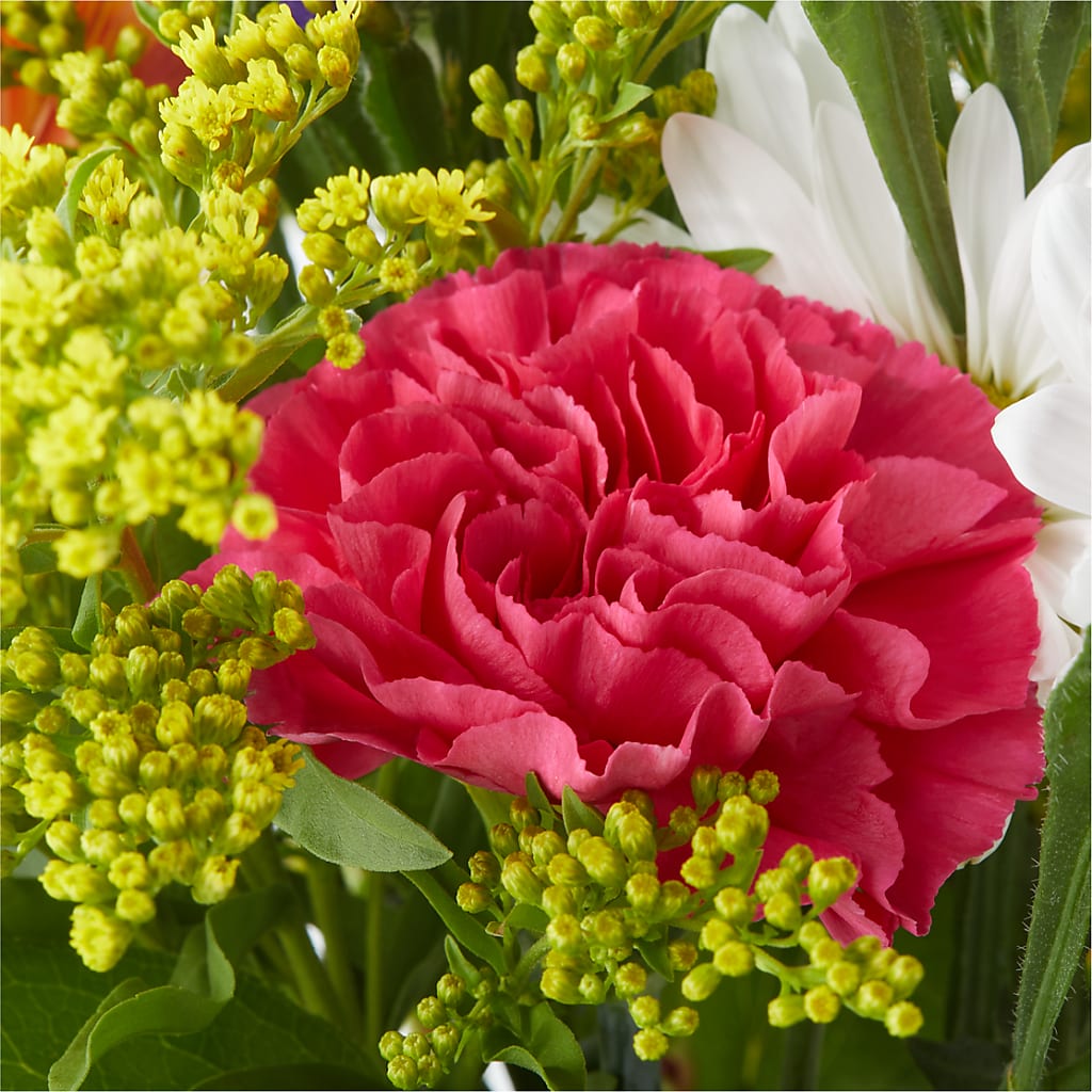 Oopsie Daisy Bouquet –  Freesia Flowers, Tomball TX