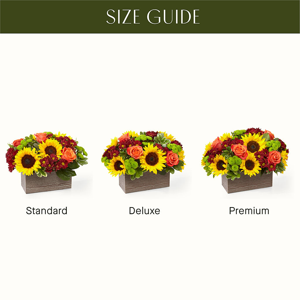 Happy Harvest Garden –  Freesia Flowers, Tomball TX