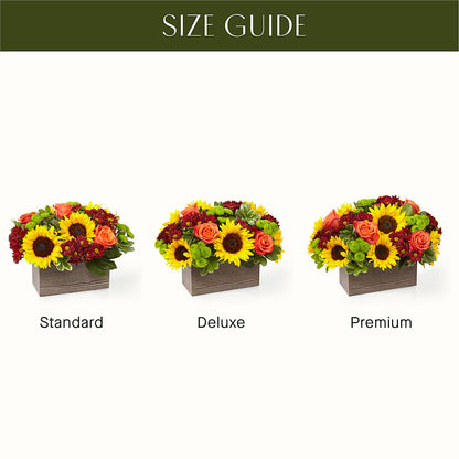 Happy Harvest Garden –  Freesia Flowers, Tomball TX