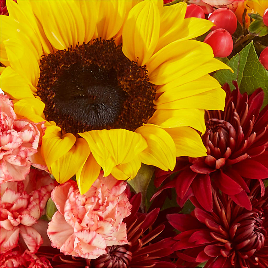 Fresh Cider Bouquet –  Freesia Flowers, Tomball TX