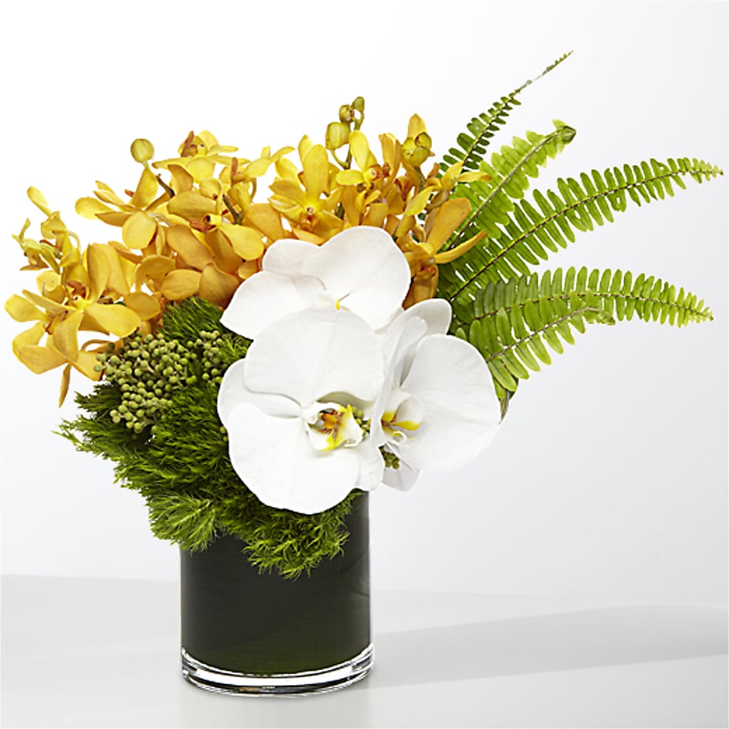 The Tropics –  Freesia Flowers, Tomball TX