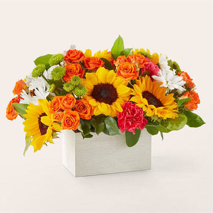 Sun-drenched Blooms Box Bouquet –  Freesia Flowers, Tomball TX