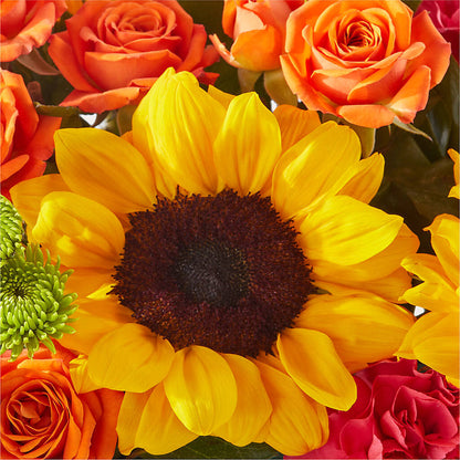Sun-drenched Blooms Box Bouquet –  Freesia Flowers, Tomball TX