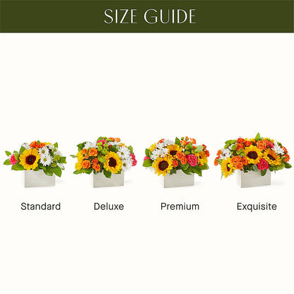 Sun-drenched Blooms Box Bouquet –  Freesia Flowers, Tomball TX