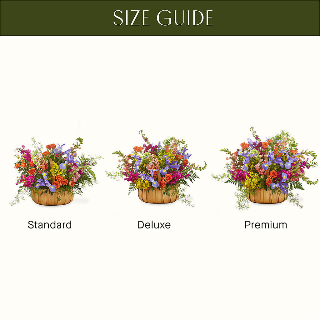 Garden of Life Basket –  Freesia Flowers, Tomball TX