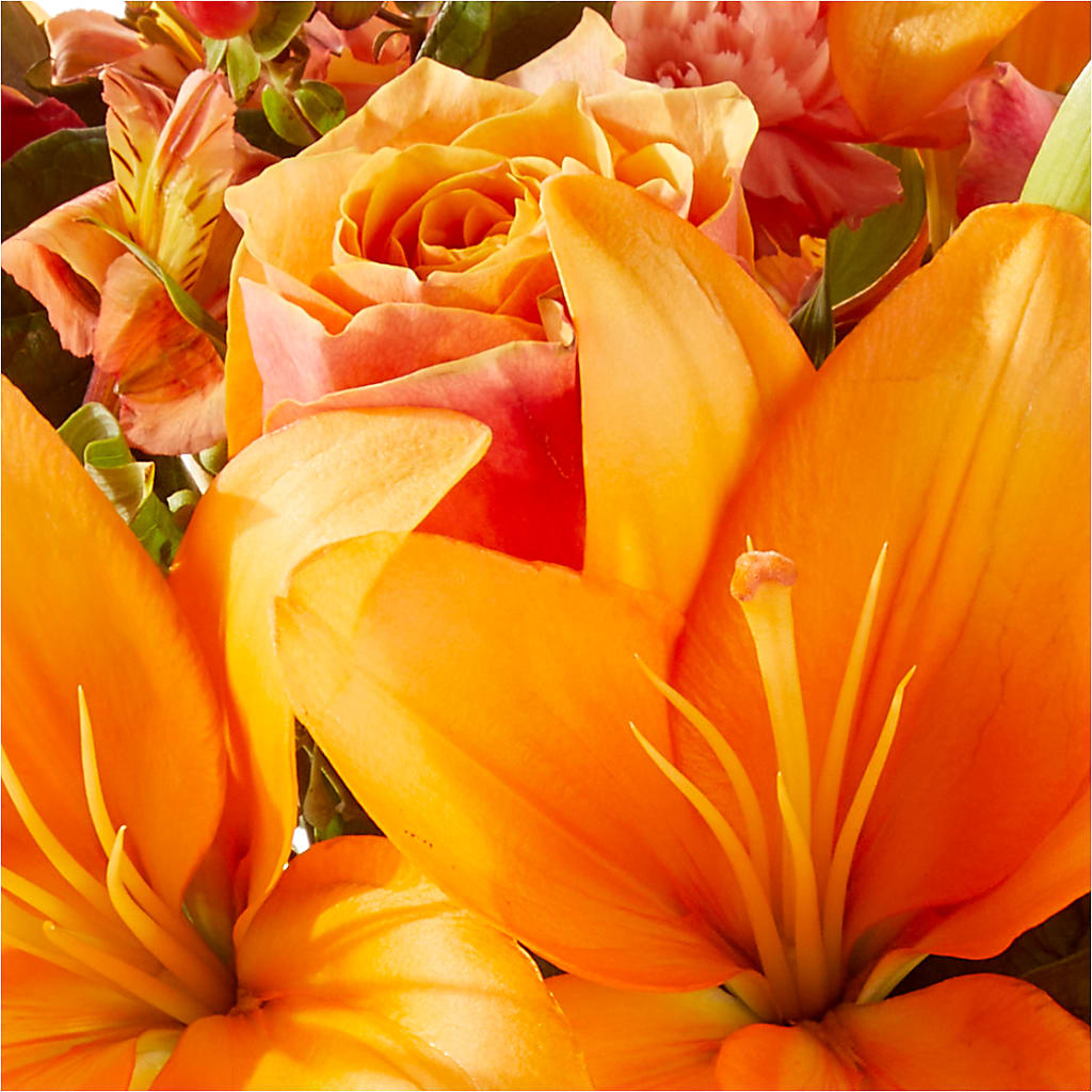 Afternoon Light Bouquet –  Freesia Flowers, Tomball TX