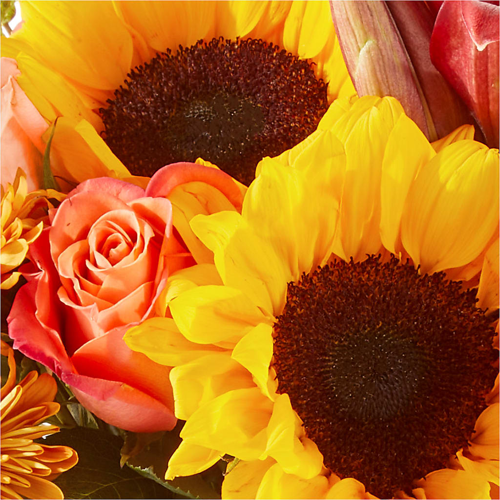Acorn Lane Bouquet –  Freesia Flowers, Tomball TX