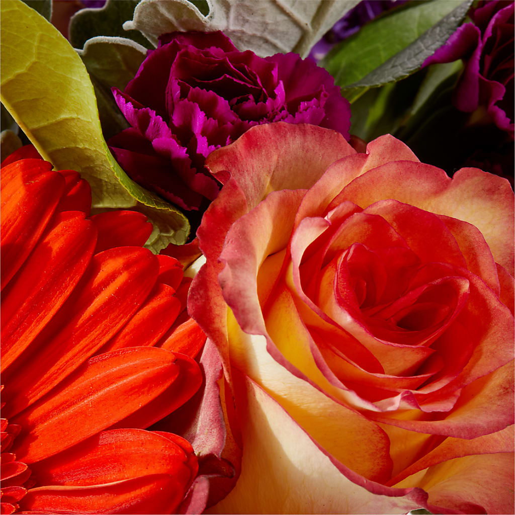 Sangria Bouquet –  Freesia Flowers, Tomball TX