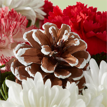 Candy Cane Lane Bouquet –  Freesia Flowers, Tomball TX