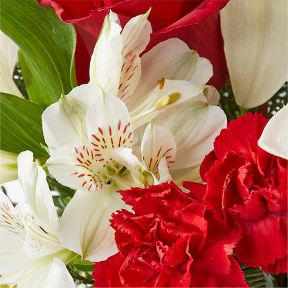 Holiday Season Bouquet –  Freesia Flowers, Tomball TX