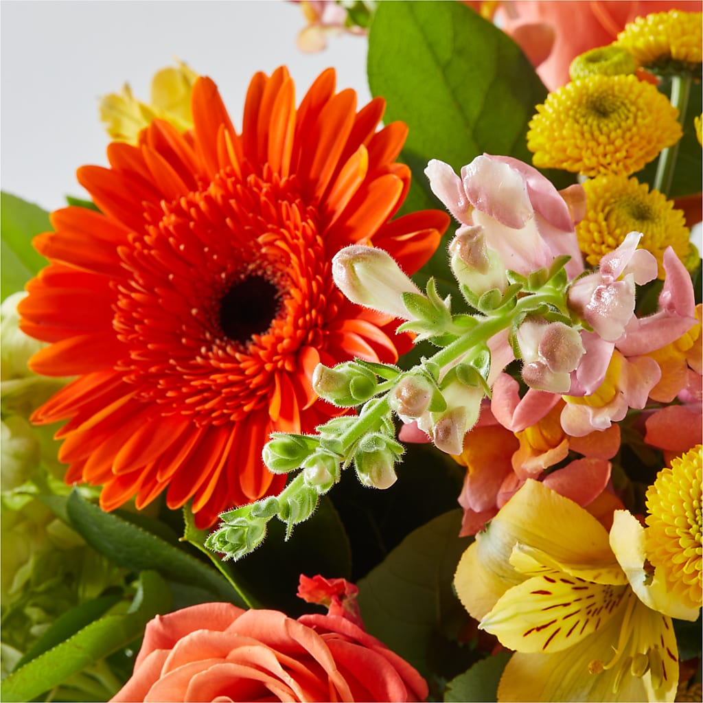Autumn Sunshine Bouquet –  Freesia Flowers, Tomball TX
