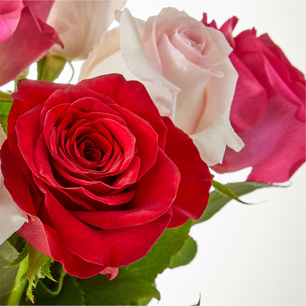 Charming Rose Bouquet –  Freesia Flowers, Tomball TX