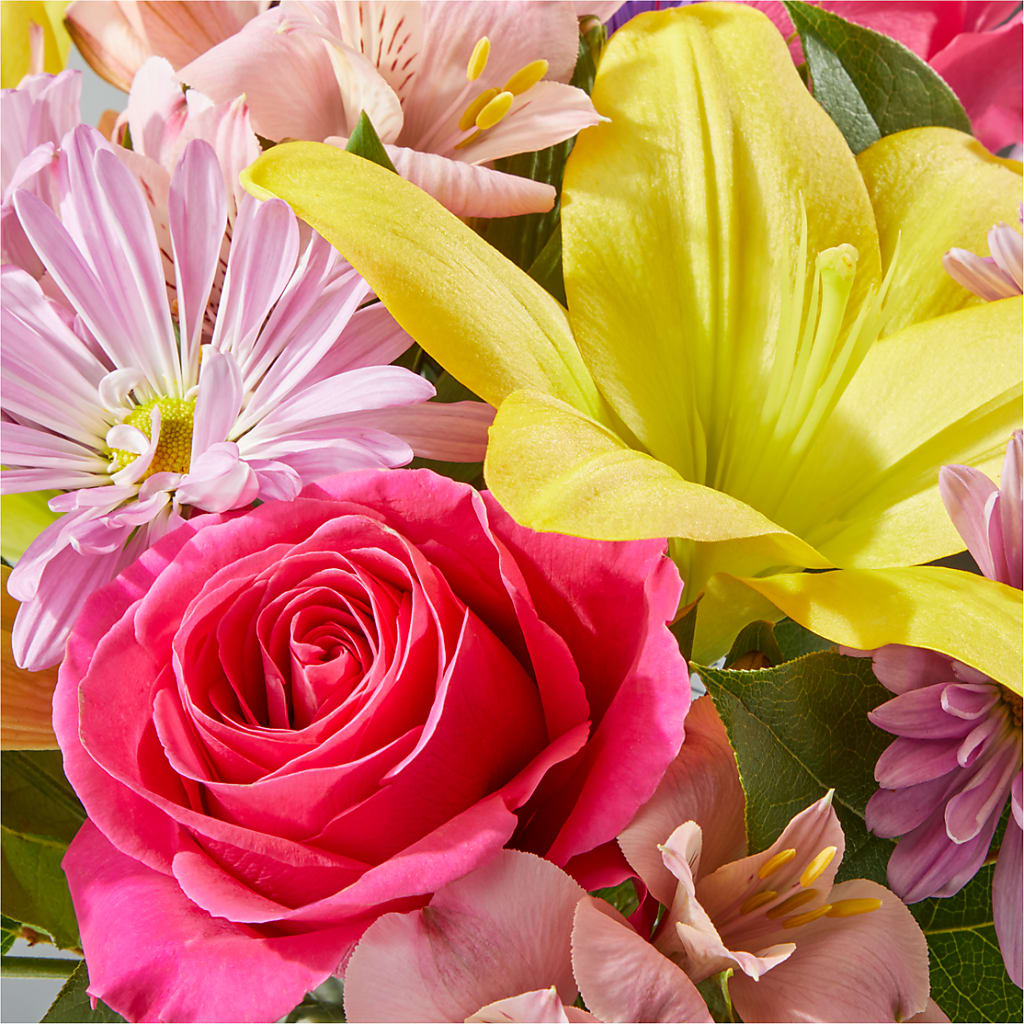 Sprinkles Bouquet –  Freesia Flowers, Tomball TX