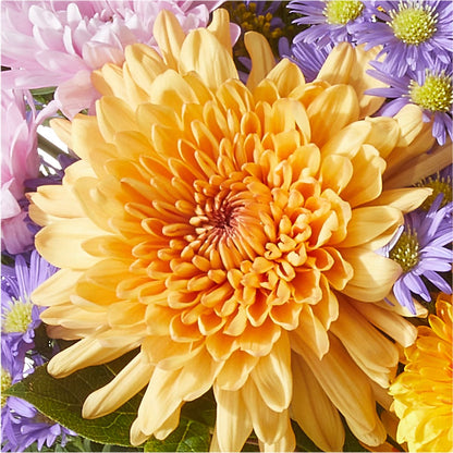Countryside Bouquet –  Freesia Flowers, Tomball TX