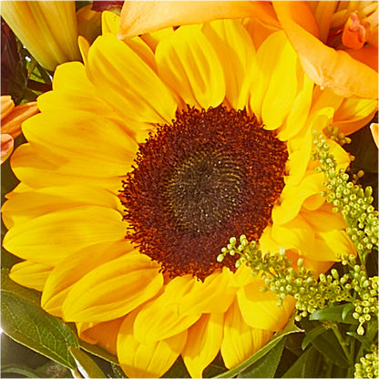 Seasons Change Bouquet –  Freesia Flowers, Tomball TX